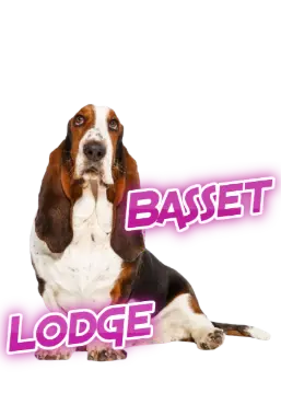 Basset Lodge
